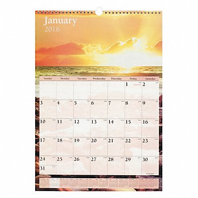 Wall Calendar Monthly 12 X17 Scenic MPN:DMW200-28