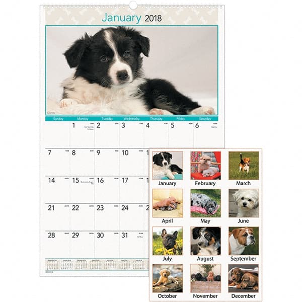 Wall Calendar: 12 Sheets MPN:AAGDMW16728