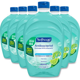 Softsoap® Antibacterial Liquid Hand Soap Refills Fresh 50 oz. Green 6/Case US05266A