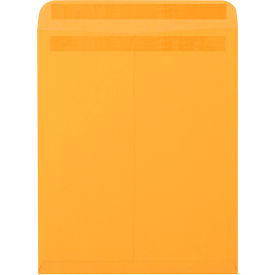 GoVets™ Redi-Seal Envelopes 12