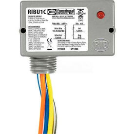 RIB® Enclosed Relay RIBU1C 10A SPDT 10-30VAC/DC/120VAC RIBU1C