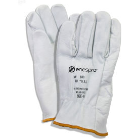 Enespro® ArcGuard® 10