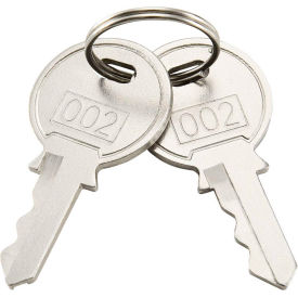 Replacement Keys For Inner Door of GoVets™ Narcotics Cabinet 436951 2pcs Key# 002 902RP9