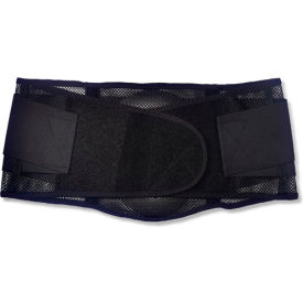 Ergodyne® ProFlex® 1051 Mesh Back Support Black Large 20185******