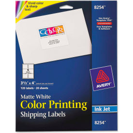Avery® Inkjet Labels for Color Printing 3-1/3 x 4 Matte White 120/Pack 8254