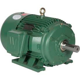 Worldwide Electric Motor PEWWE5-36-184T PREM EFF TEFC Rigid 3 PH 184T 208-230/460V 6 FLA PEWWE5-36-184T