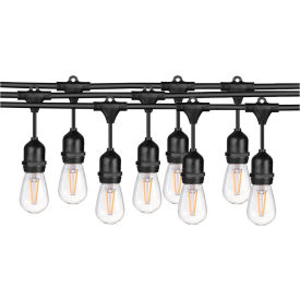 Sunlite® Commercial Grade String Light with LED Edison Bulbs 18 SJTW 2250 Lumens 48'L Cord 80572-SU