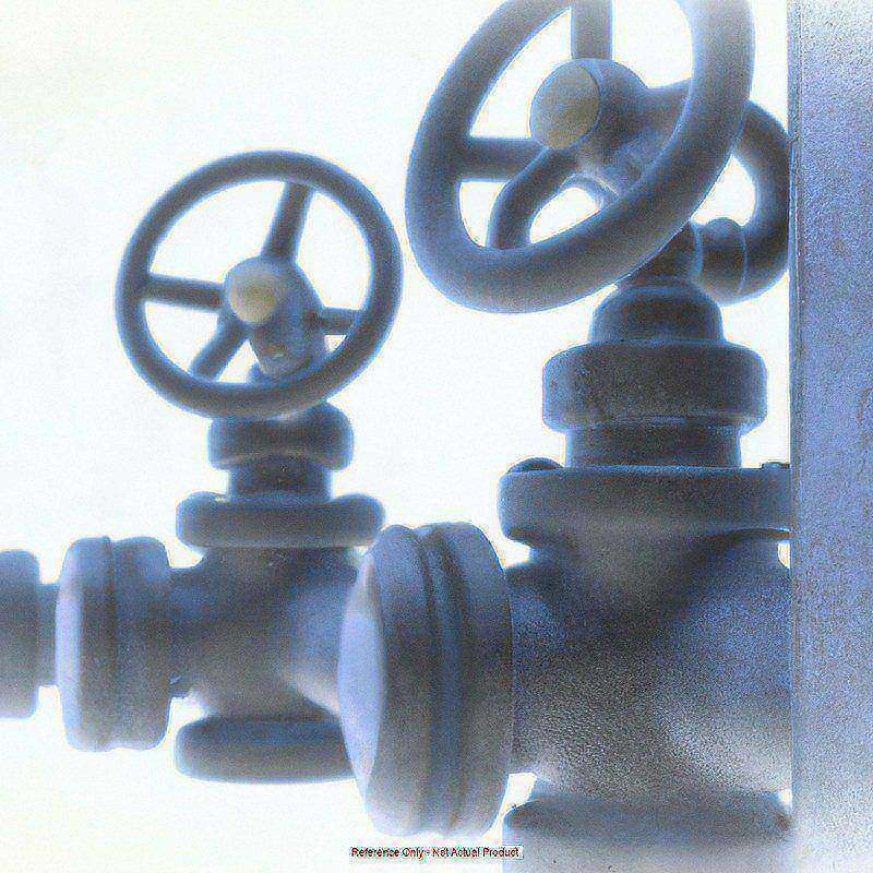 ASME Safety Relief Valve: 3/4