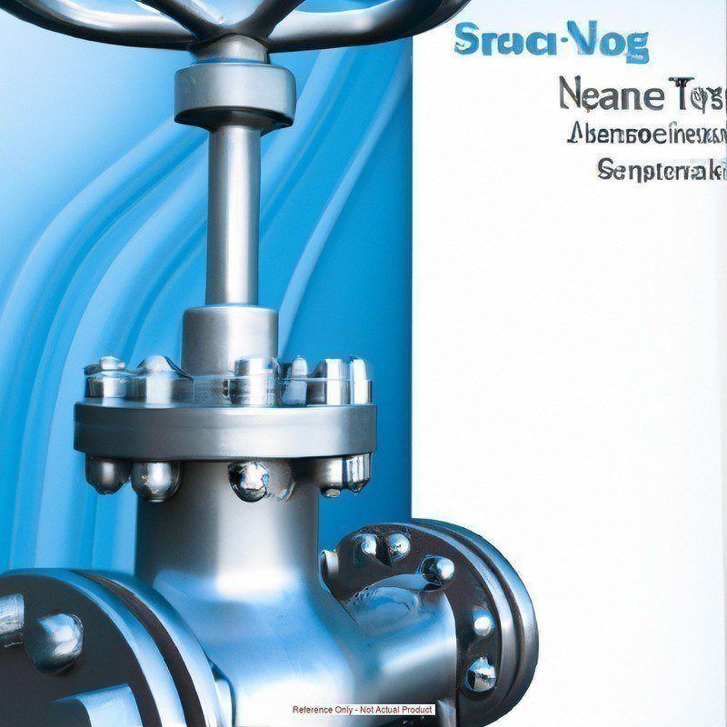 ASME Safety Relief Valve: 1