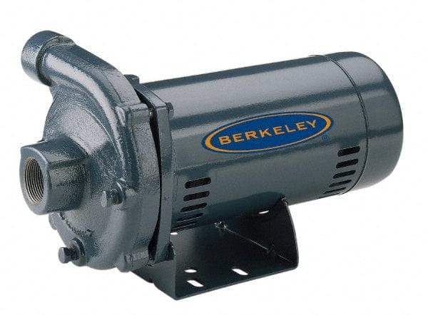 AC Straight Pump: 115/230V, 1/2 hp, 1 Phase, Cast Iron Housing, Noryl Impeller MPN:S39516