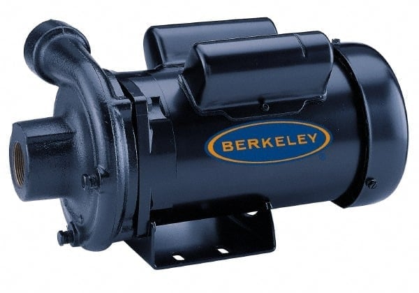 AC Straight Pump: 230V, 2 hp, 1 Phase, Cast Iron Housing, Noryl Impeller MPN:S39524