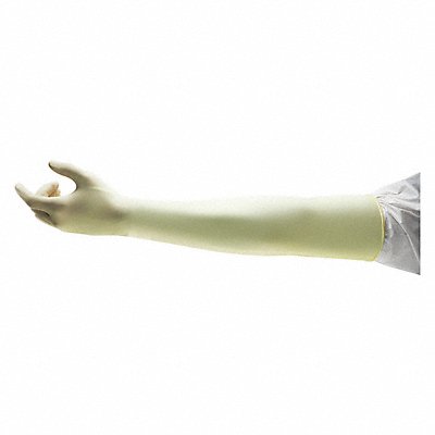 K2619 Disposable Gloves Latex 6-1/2 PK100 MPN:BLLS