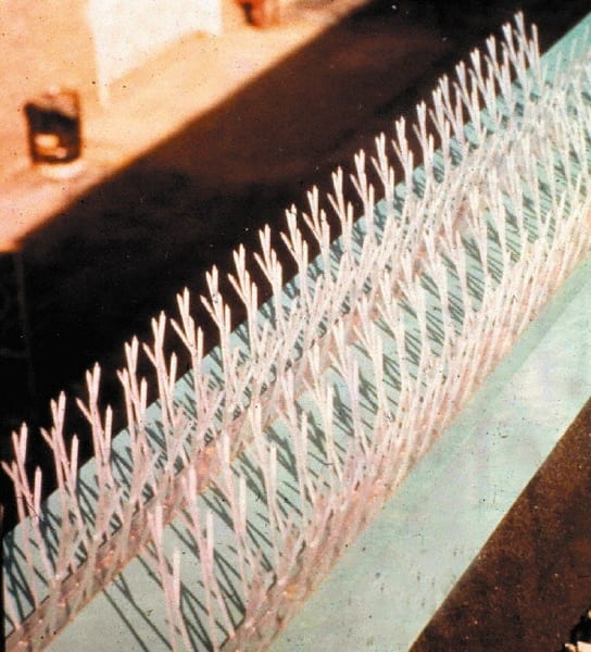 Plastic Bird Spikes MPN:SP-100 MSC