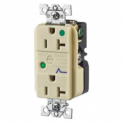 Receptacle 20A Audible Alarm Flush Mount MPN:SP83IA