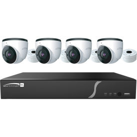 Speco ZIPL4D1 4-Channel Plug & Play NVR and IP Kit 4 Dome Cameras 1TB ZIPL4D1