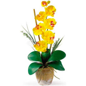 Nearly Natural Phalaenopsis Silk Orchid Flower Arrangement Yellow 1016-GY