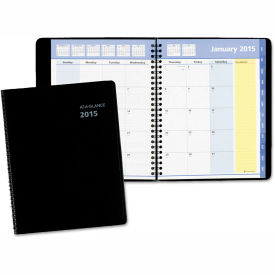 AT-A-GLANCE® QuickNotes Monthly Planner 8.75 x 7 Jan to Dec 2025 760805