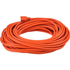 GoVets™ 100 Ft. Outdoor Extension Cord 14/3 Ga 13A Orange 791500