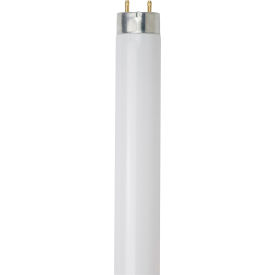 Sunlite® T8 Fluorescent Bulb G13 Base 32W 3050 Lumens 6500K Daylight Pack of 30 30192-SU