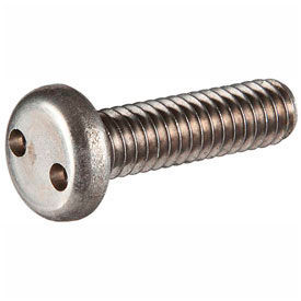 M4 x 0.7 x 6mm Security Machine Screw - Pan Spanner Head - 18-8 Stainless Steel - FT - UNC - 100 Pk 201025