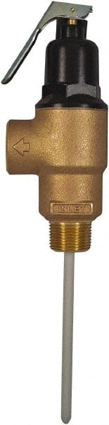 ASME Safety Relief Valve: 3/4