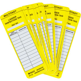 Brady® LAD-EITL521 Ladder Inspection Tag 100/Pkg Plastic 2