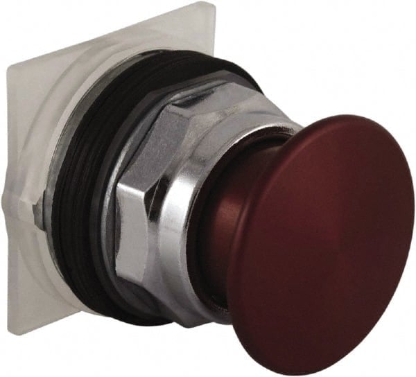 Push-Button Switch: 30 mm Mounting Hole Dia, Momentary (MO) MPN:9001KR24RM