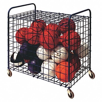 Example of GoVets Ball Racks and Caddies category