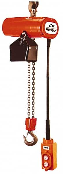 Electric Chain Hoist: 250 lb Working Load Limit MPN:2069