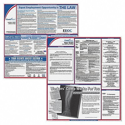 Labor Law Poster Kit CT English 2-1/2inW MPN:EFEDSTCRPSECCT