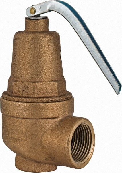 ASME Section IV Safety Relief Valve: 3/4