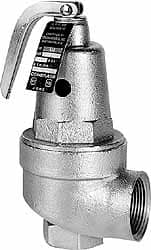 ASME Section IV Safety Relief Valve: 1