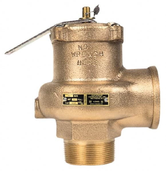 High Capacity Steam Relief Valve: 3