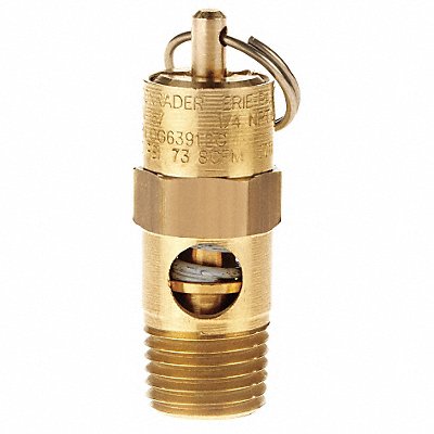 Pressure Relief Valve 100 PSI MPN:SRV187-100