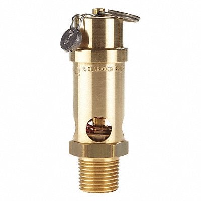 Safety Valve Soft Seat 1/2 In 100 PSI MPN:SRV530-1/2-100