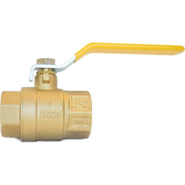 2-Way Manual Ball Valve: 1