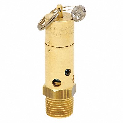 Air Safety Valve 1/2 Inlet 100 psi MPN:SB50-0A100