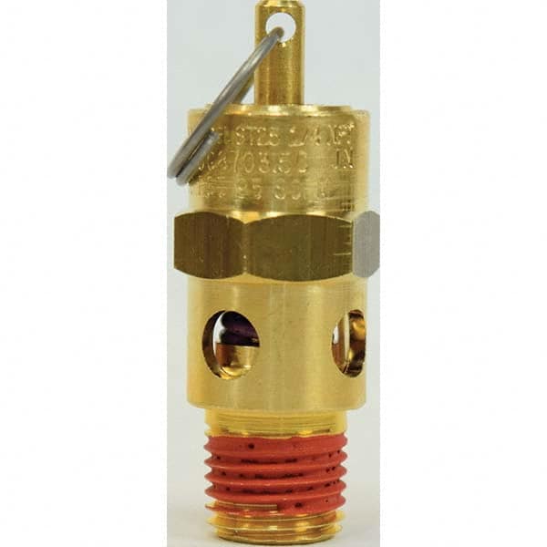 ASME Safety Relief Valve: 1/4