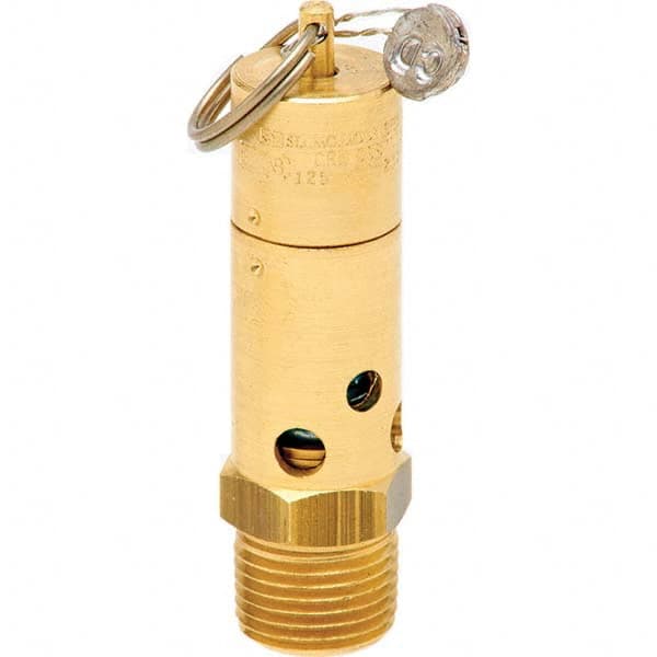 ASME Safety Relief Valve: 1/2