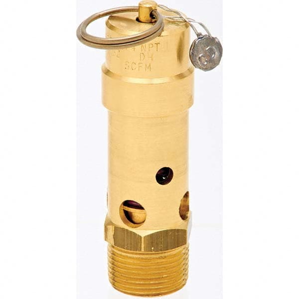 ASME Safety Relief Valve: 3/4