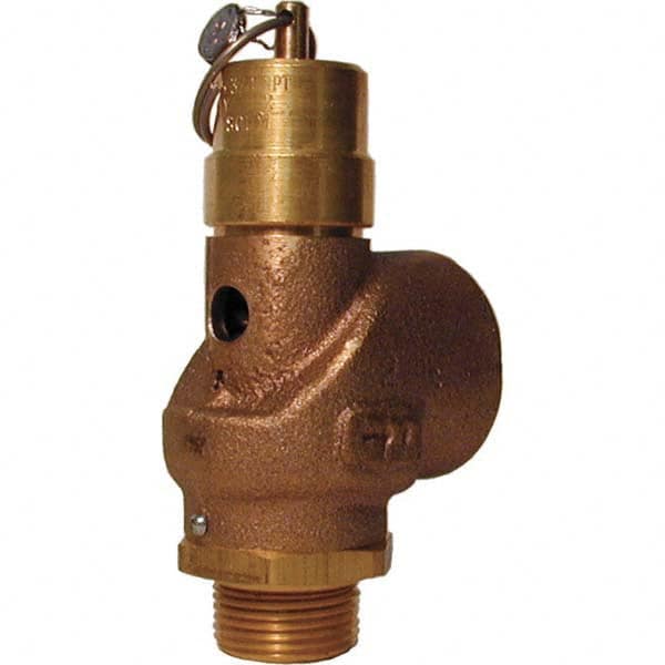 ASME Safety Relief Valve: 3/4