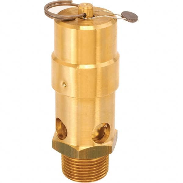 ASME Safety Relief Valve: 1