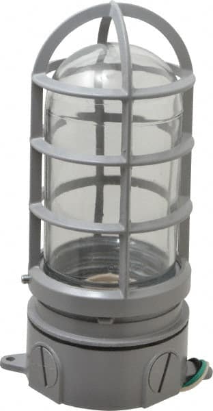 120 Volt, 100 Watt, Incandescent Hazardous Location Light Fixture MPN:TP7601