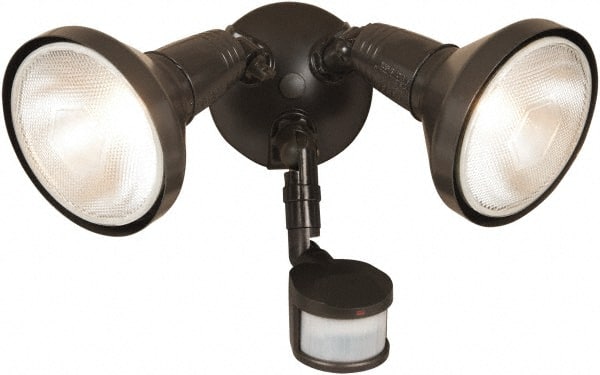 Example of GoVets Motion Sensing Light Fixtures category