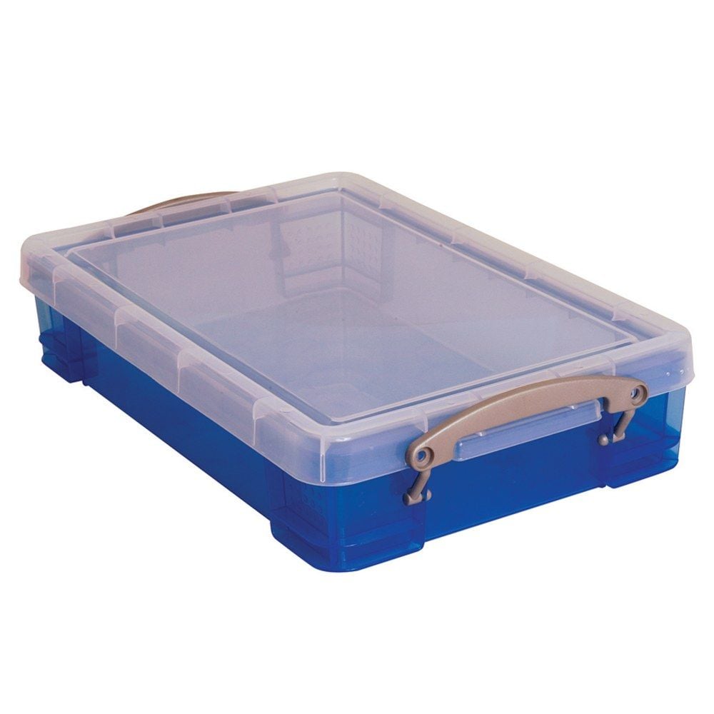 https://www.govets.com/media/catalog/product/cache/b1b6a285bf6430d7a847e19027e404ce/r/e/really-useful-plastic-storage-containers-4tb-312-546858.jpeg