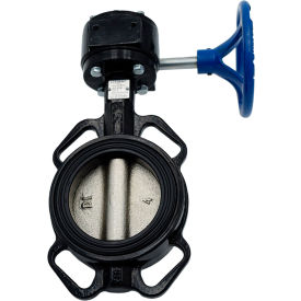 Legend Valve® T-337DI-G Butterfly Valve with BUNA Seals & Gear Operator 2-1/2