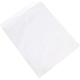 Jumbo Ungummed Envelopes 27