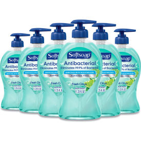 Softsoap® Antibacterial Hand Soap Fresh Citrus 11.25 oz. Pump Bottle 6/Case US03563A