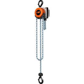 CM Hurricane 360° Hand Chain Hoist 1/2 Ton 10 Ft. Lift 5623A