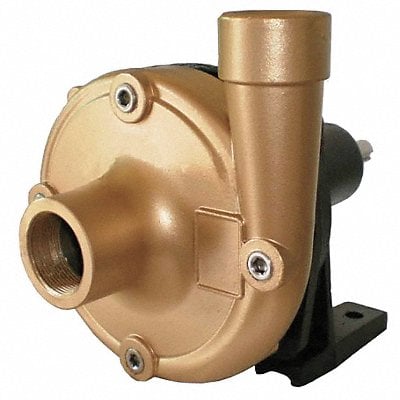 Pedestal Pump SS HP Req. 5 MPN:10X668